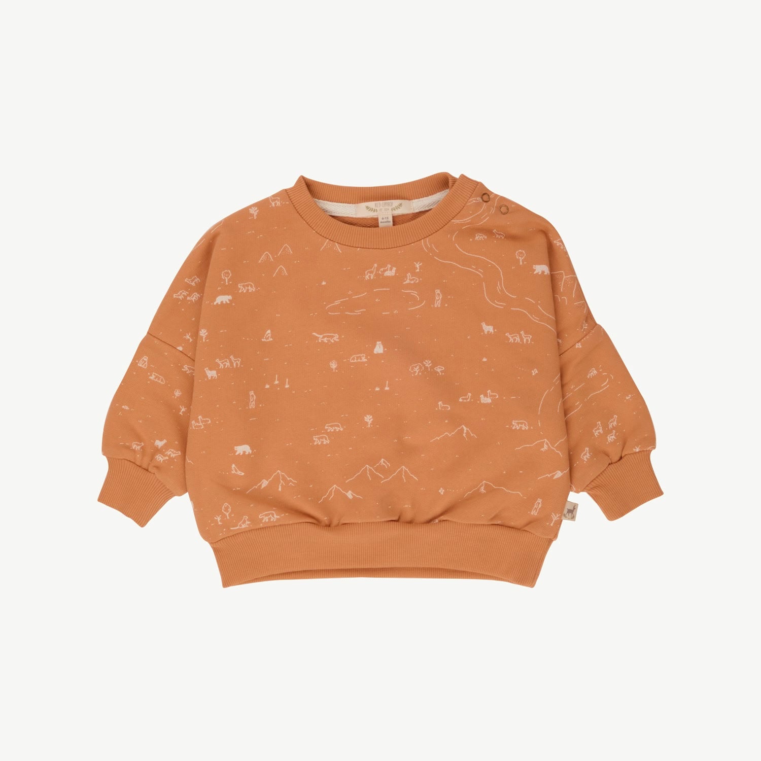 Sweatshirt - Andean Plains - Doe