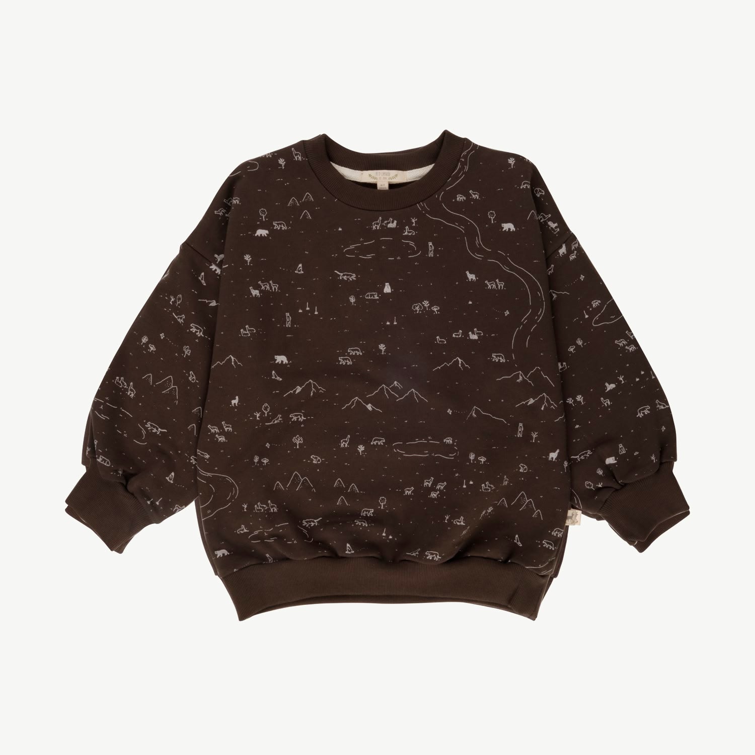 Sweatshirt - Andean Plains - Beluga