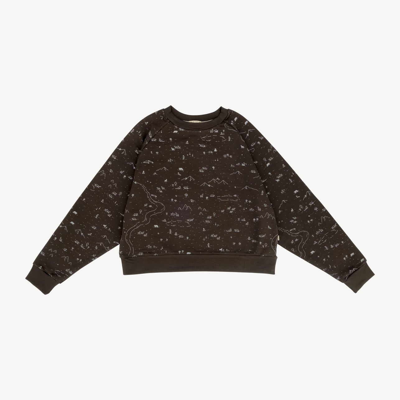 Sweatshirt - Andean Plains - Beluga