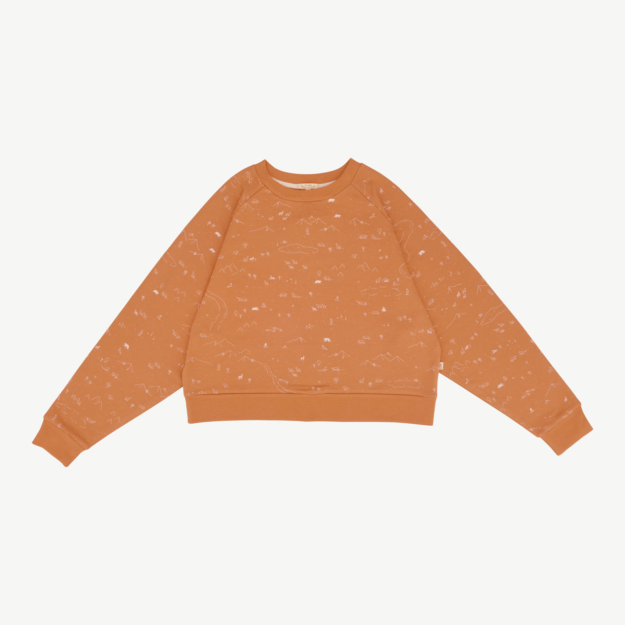 Sweatshirt - Andean Plains - Doe