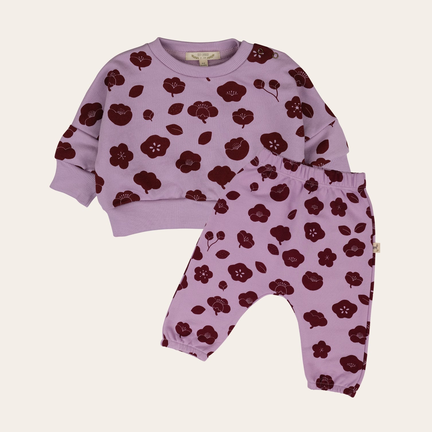 'plums in bloom' lupine sweatshirt + joggers baby outfit