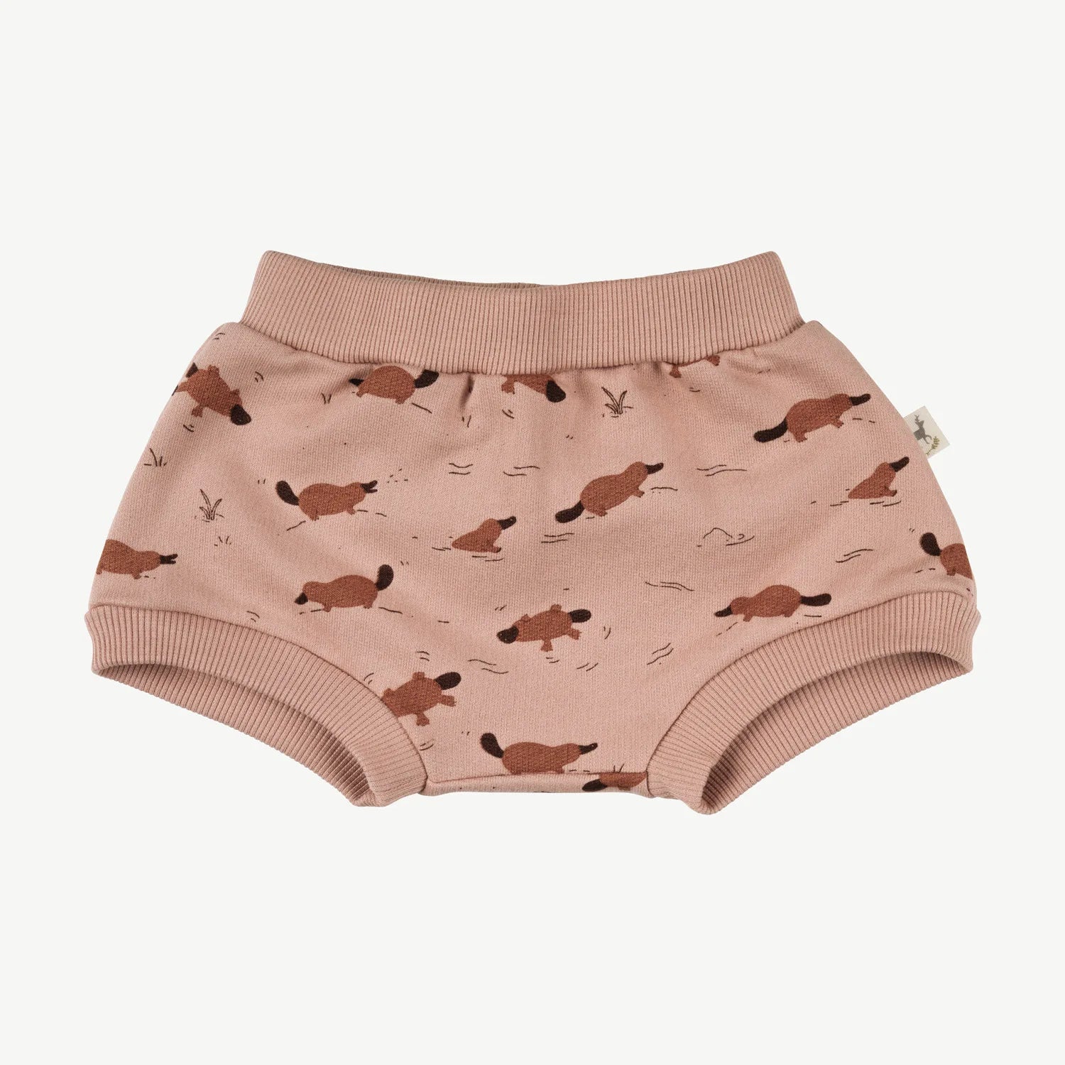 'platypus pond' mahogany rose shorts