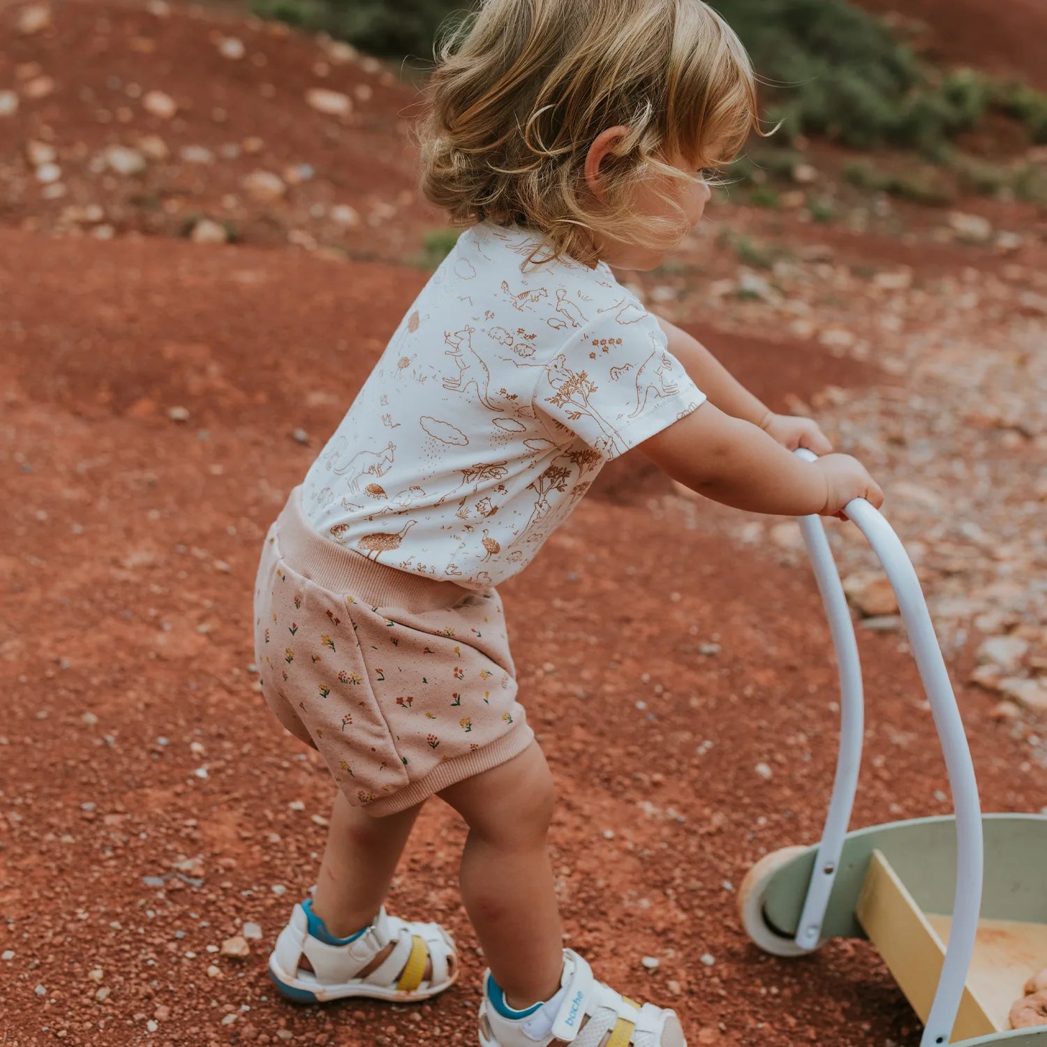 'desert wildflower' mahogany rose shorts
