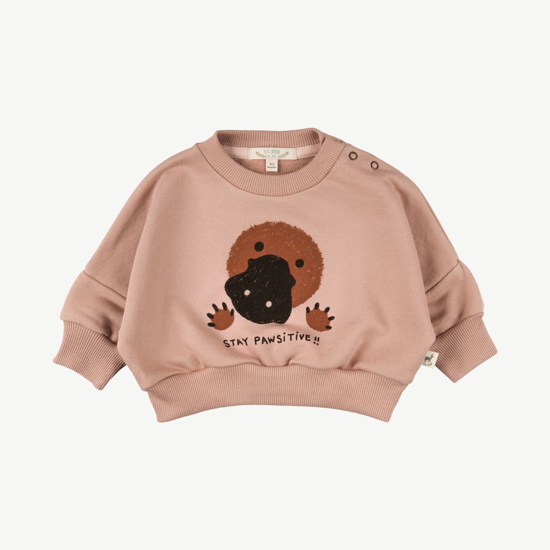 'stay pawsitive!!' mahogany rose sweatshirt