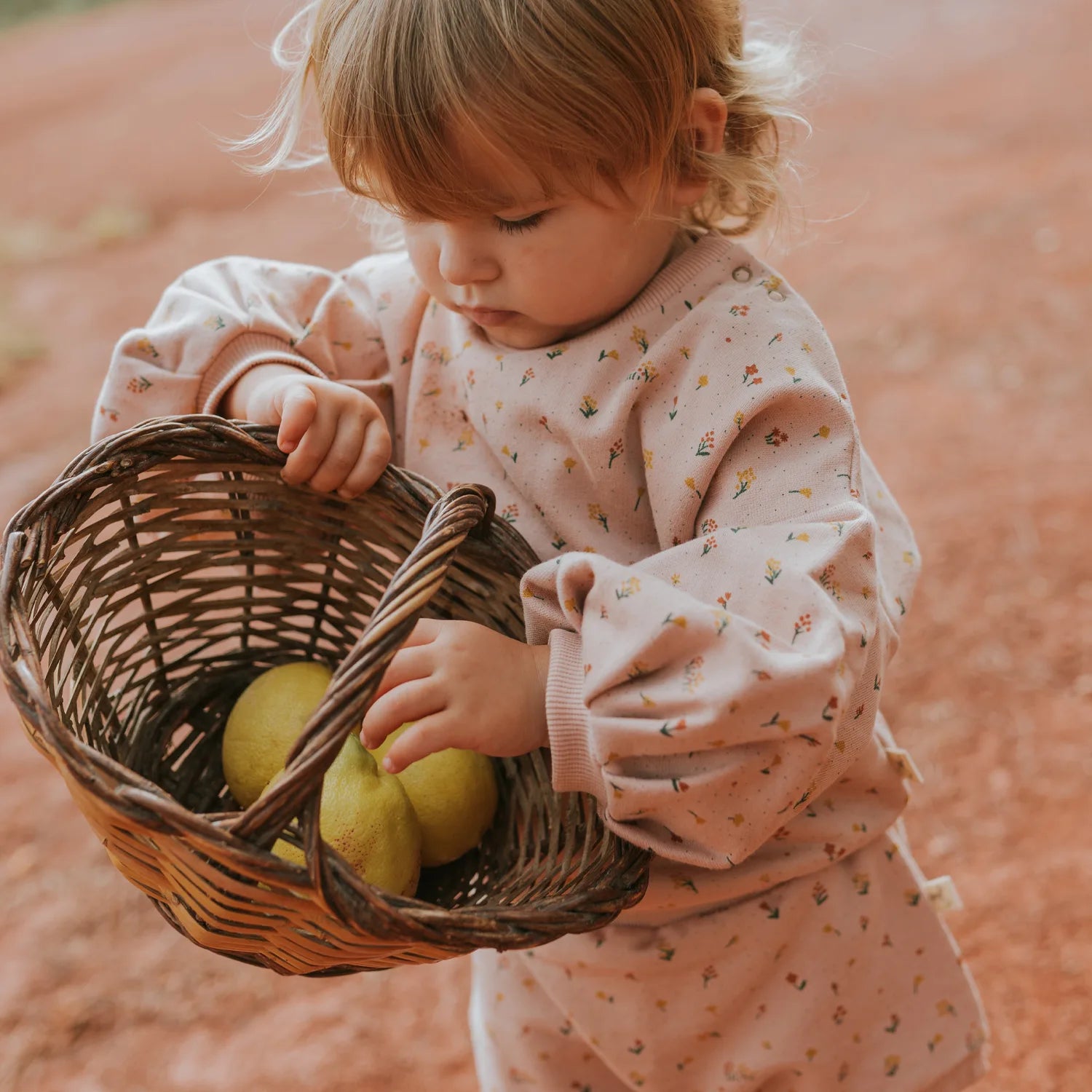 'desert wildflower' mahogany rose puffed-sleeve sweatshirt