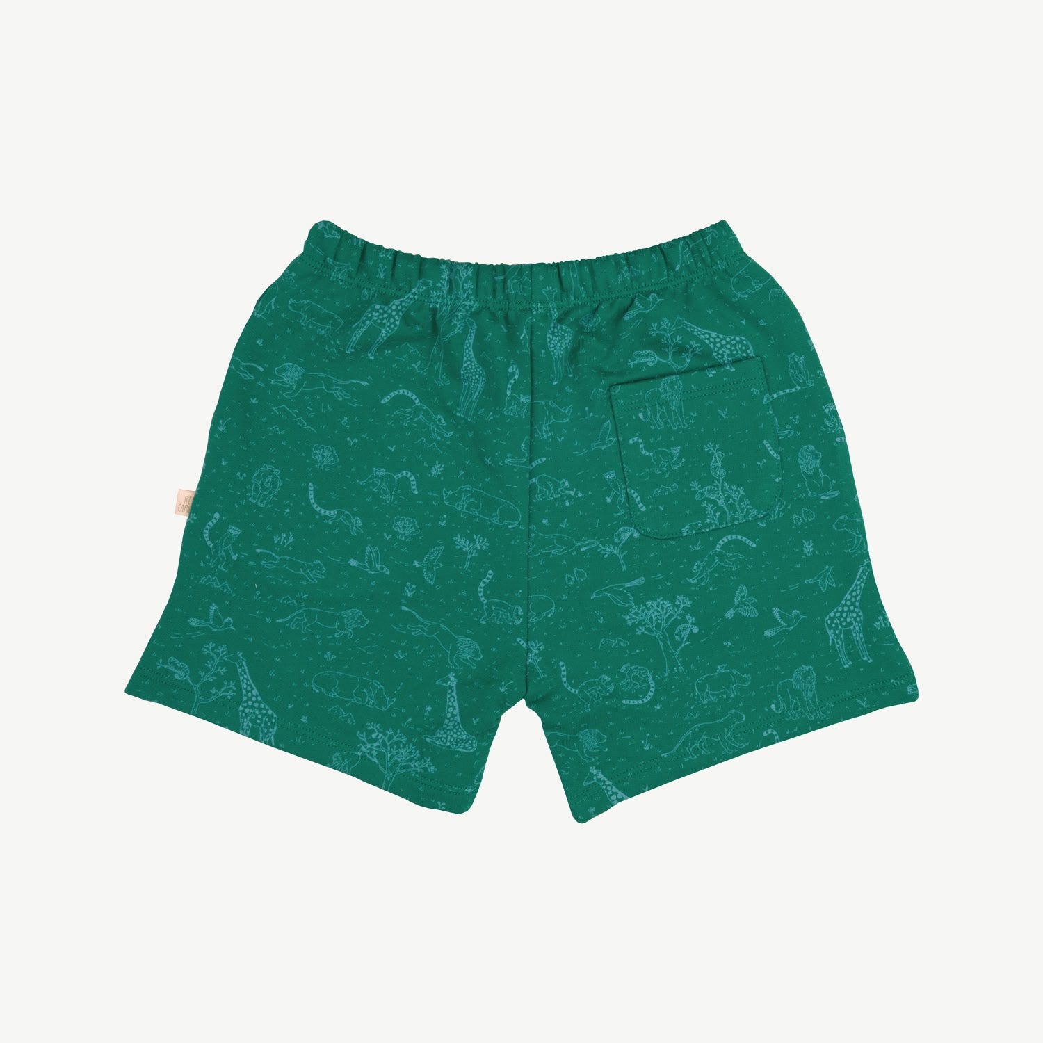 Shorts - The Story - Emerald