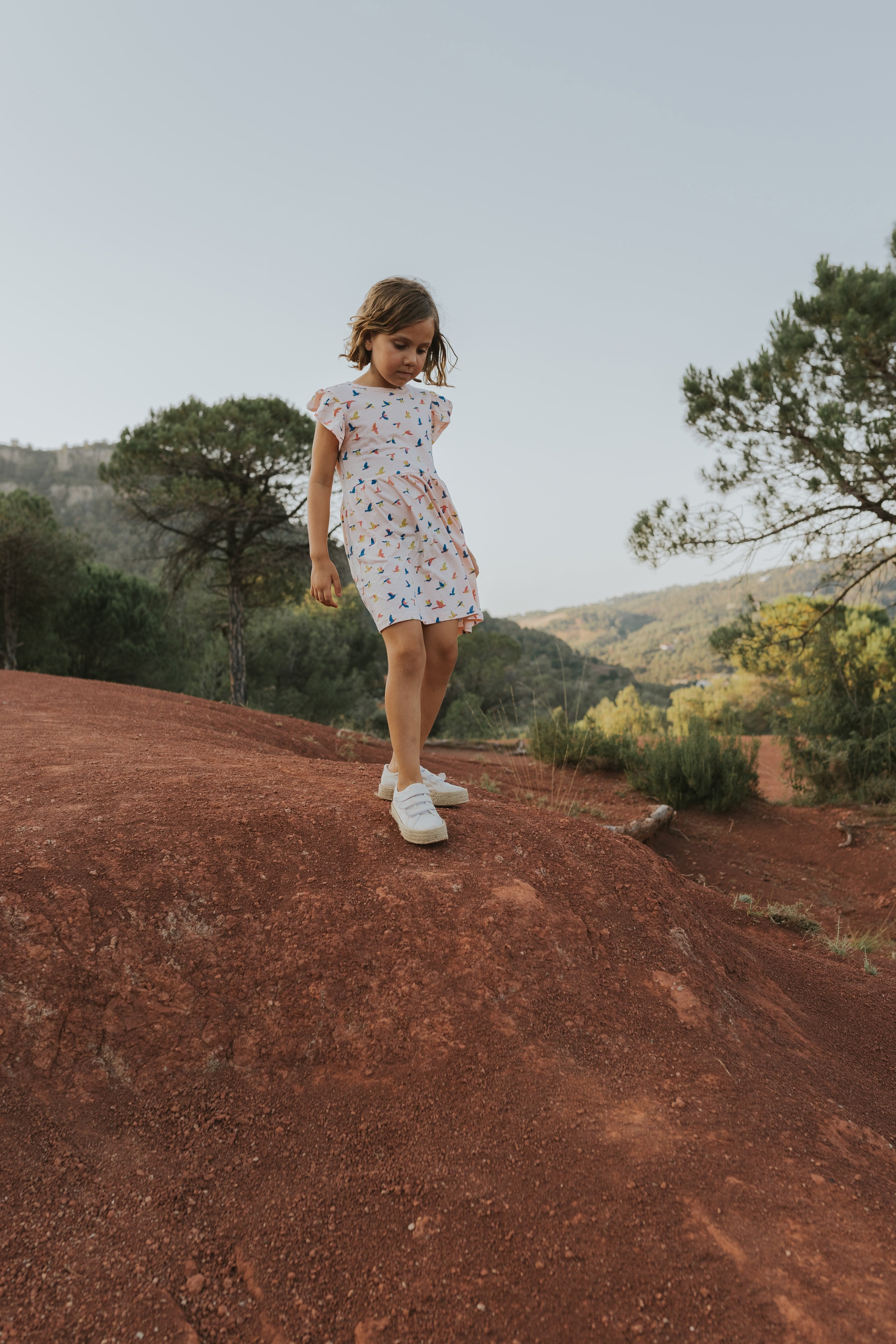 Frill Sleeve Dress - Boundless Birds - Soft Peach