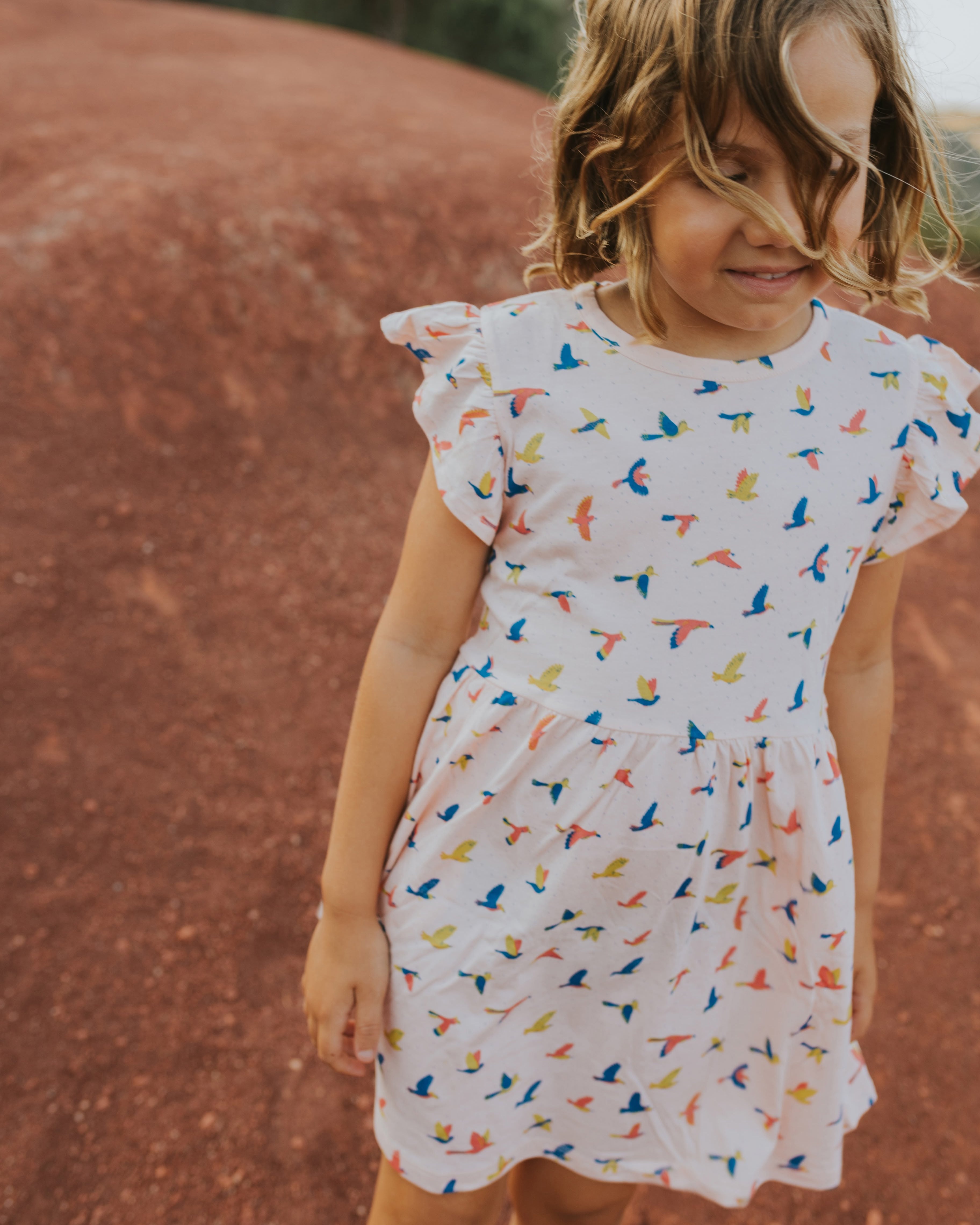 Frill Sleeve Dress - Boundless Birds - Soft Peach