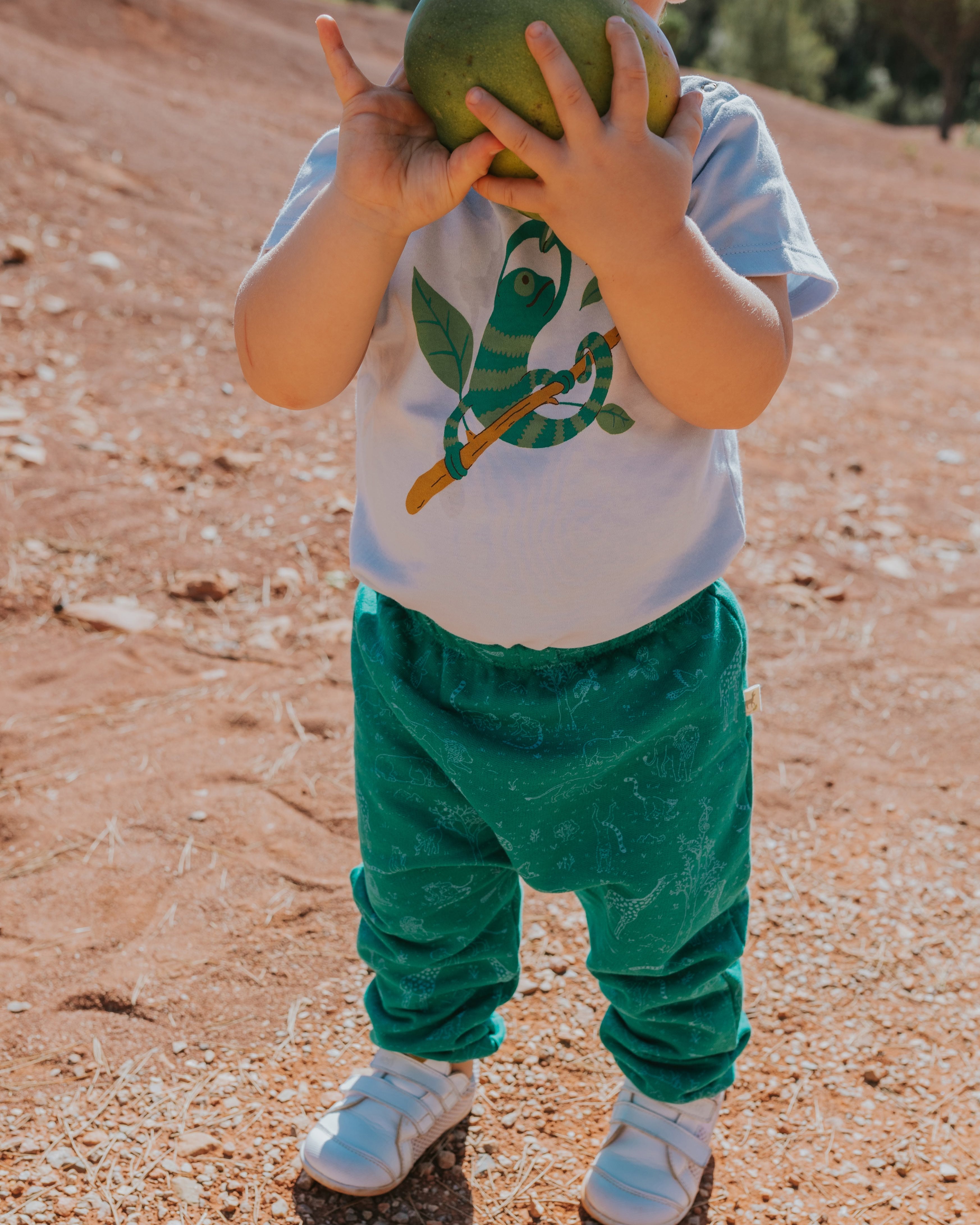 Short Sleeve Onesie - Chameleon - Light Blue