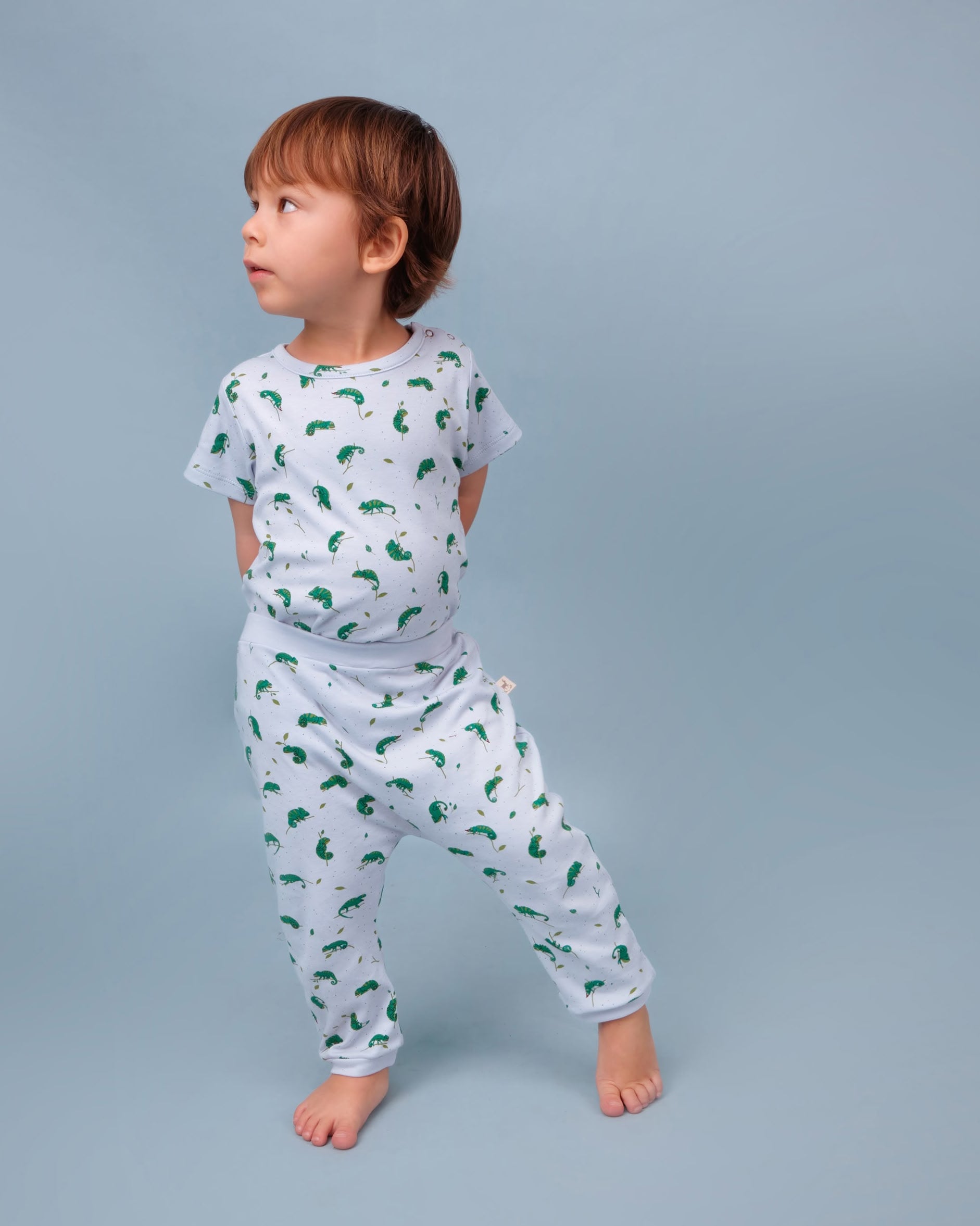 Short Sleeve Onesie - Charming Chameleons - Light Blue