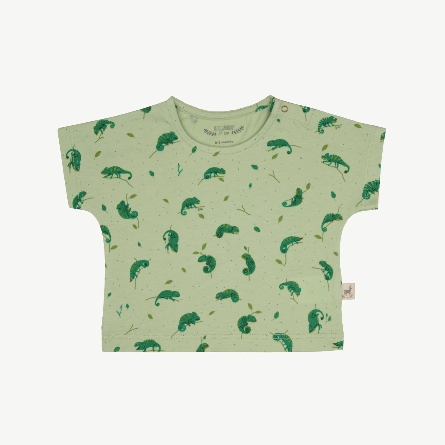 Short Sleeve T-Shirt - Charming Chameleons - Soft Green