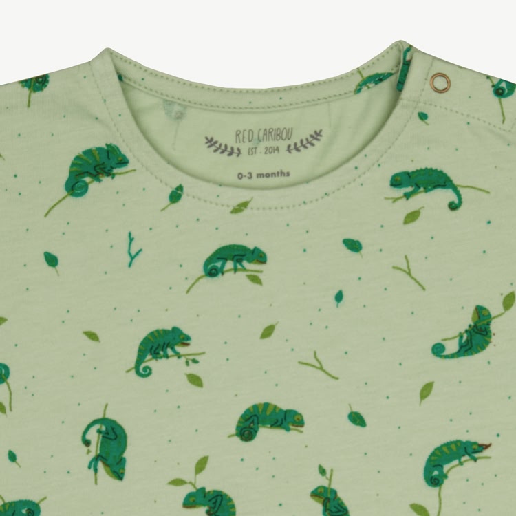 Short Sleeve T-Shirt - Charming Chameleons - Soft Green