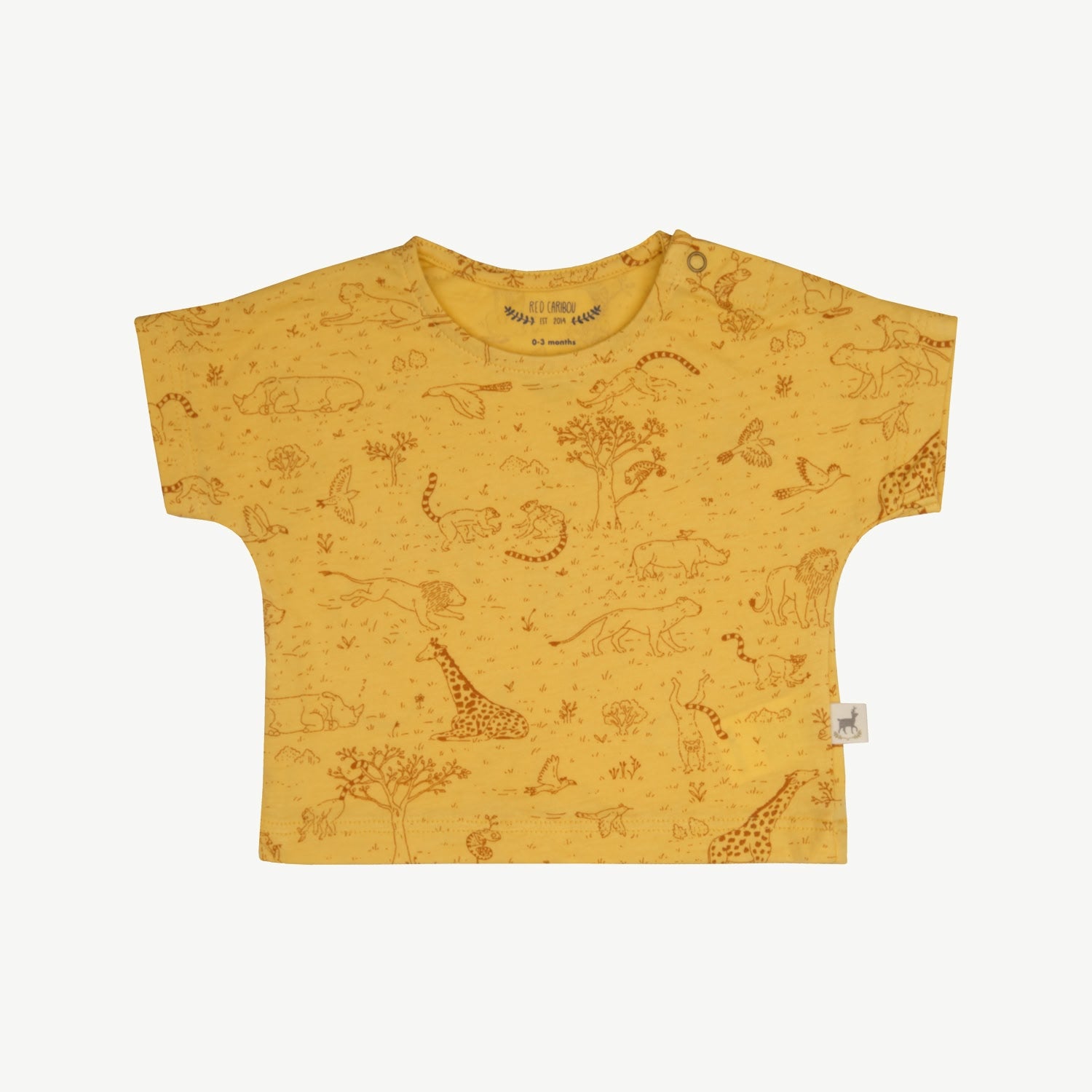 Short Sleeve T-Shirt - The Story - Banana