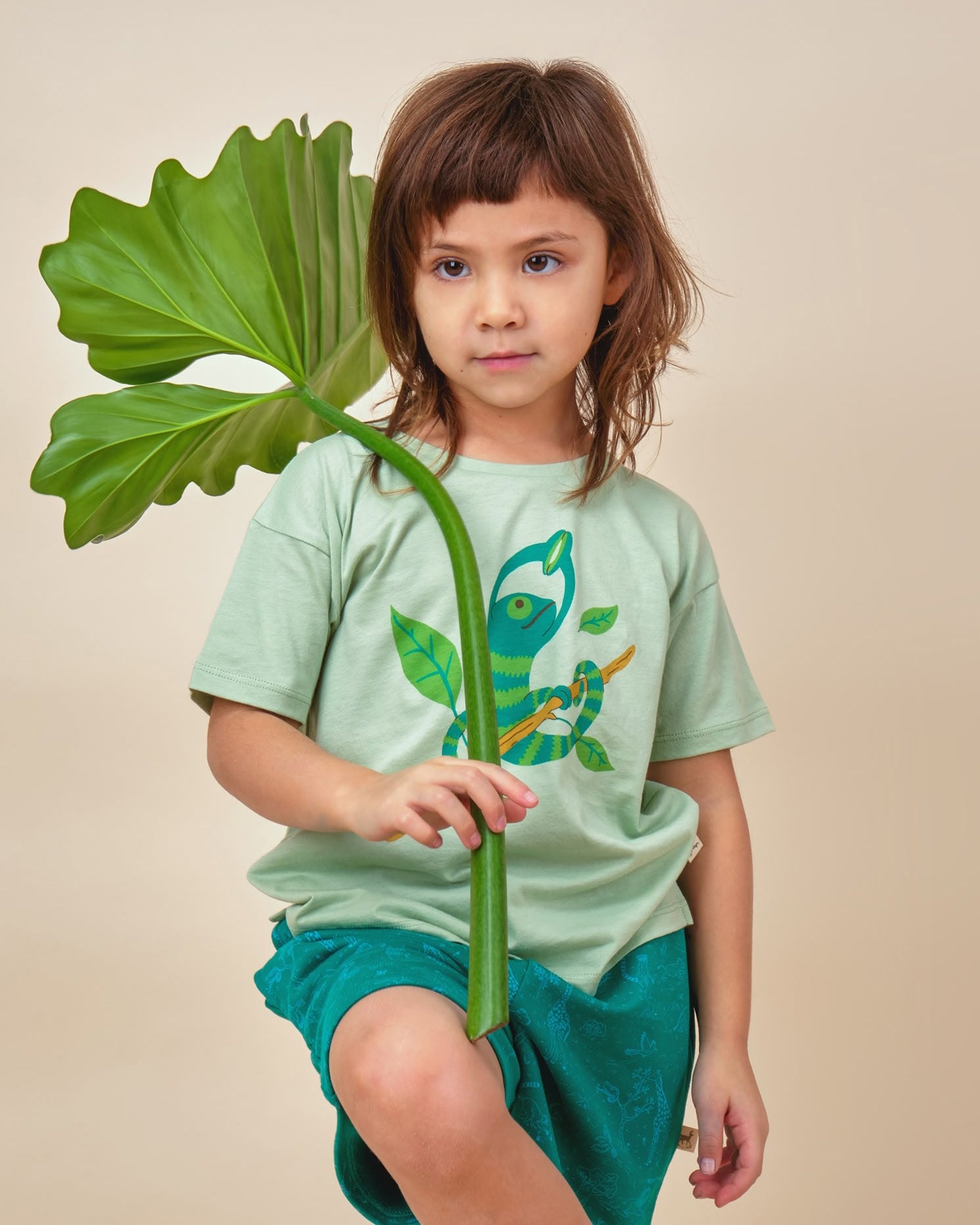 Short Sleeve T-Shirt - Chameleon - Soft Green