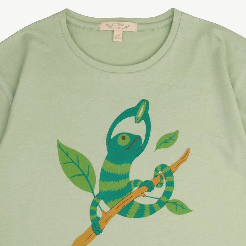 Short Sleeve T-Shirt - Chameleon - Soft Green