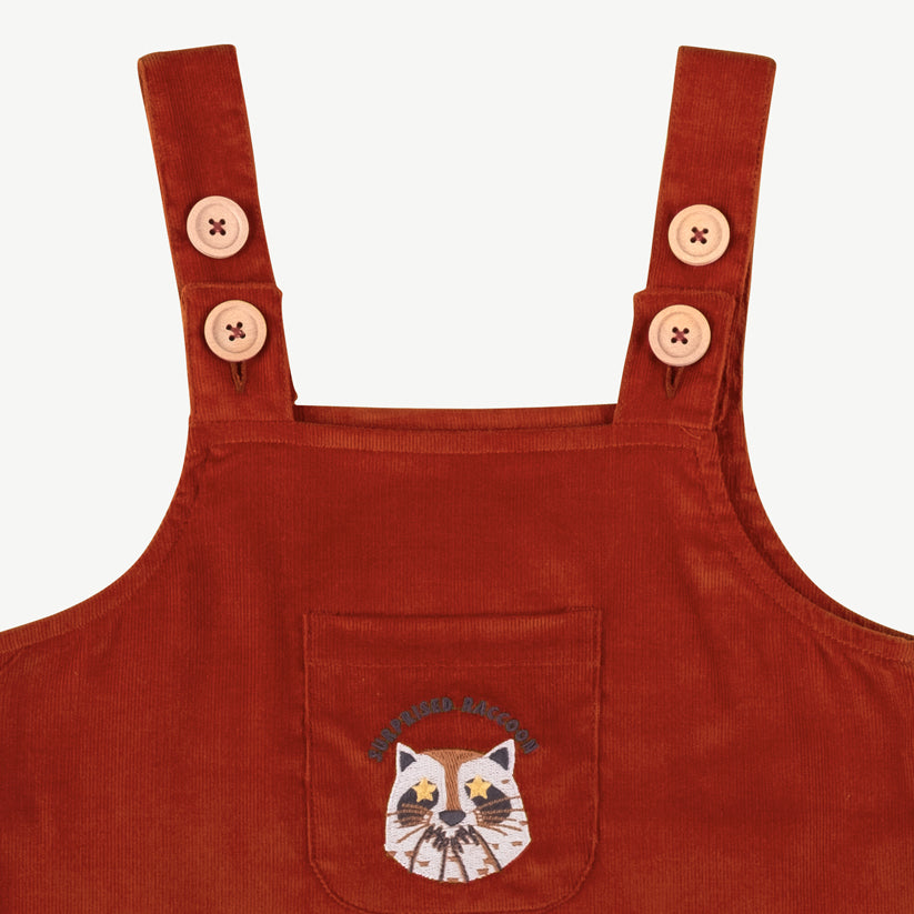 'amazed racoon' autum glaze corduroy jumper