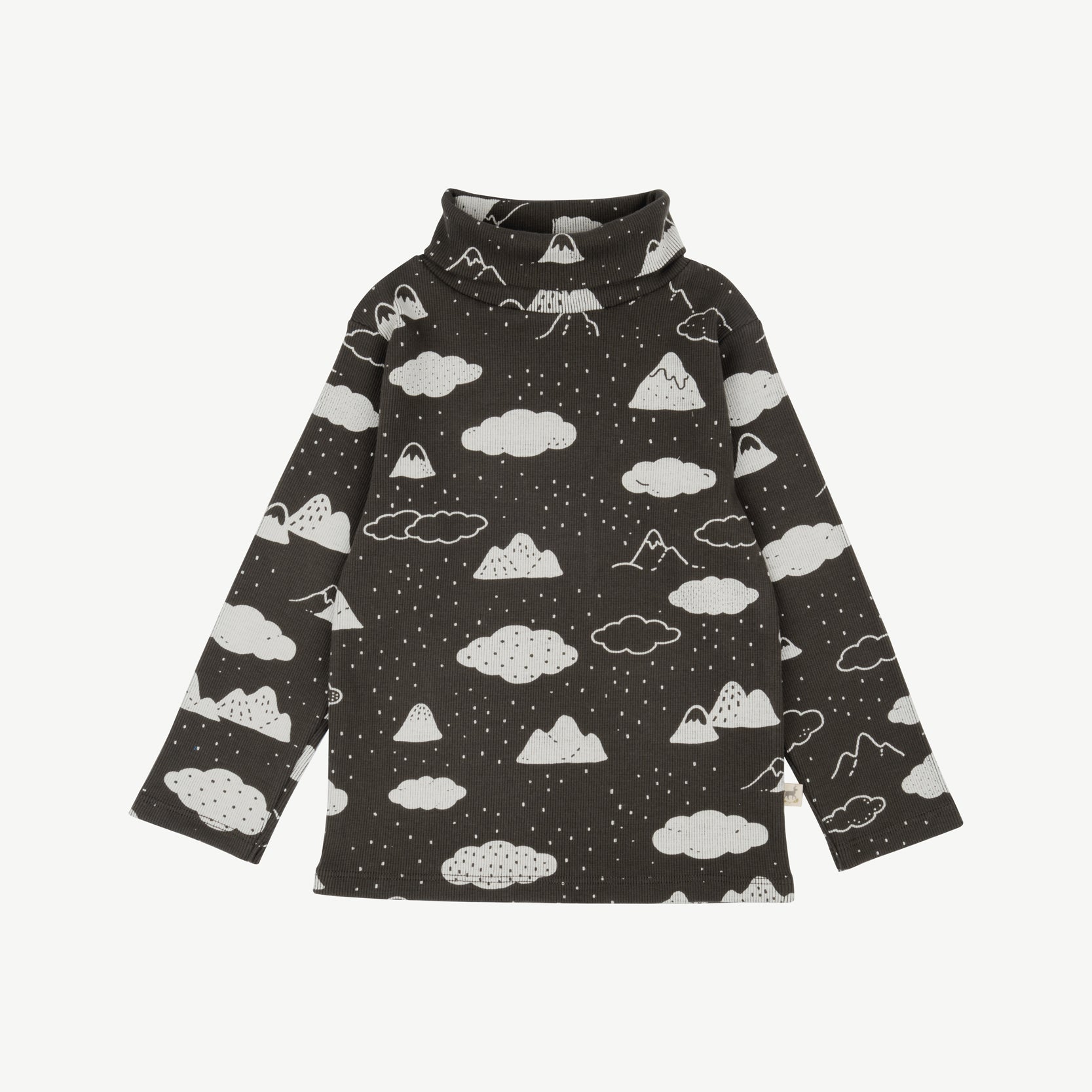 'amongst the clouds' beluga turtleneck top