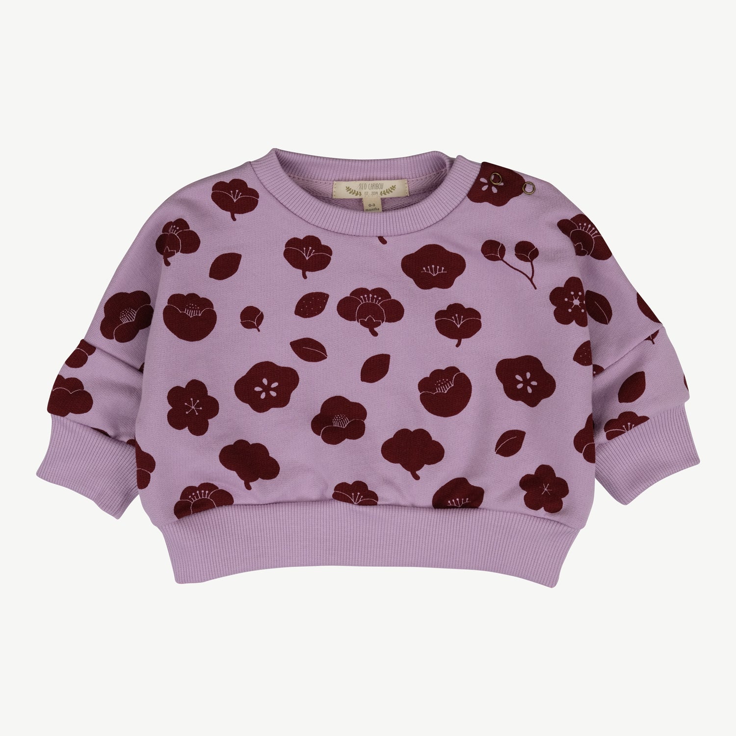 'plums in bloom' lupine sweatshirt + joggers baby outfit