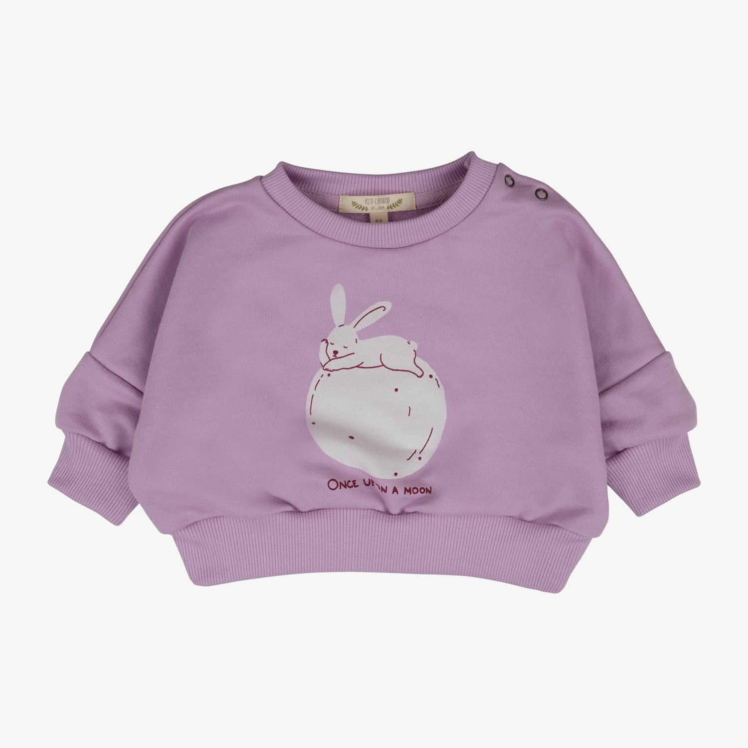'once upon a moon (hare)' lupine sweatshirt