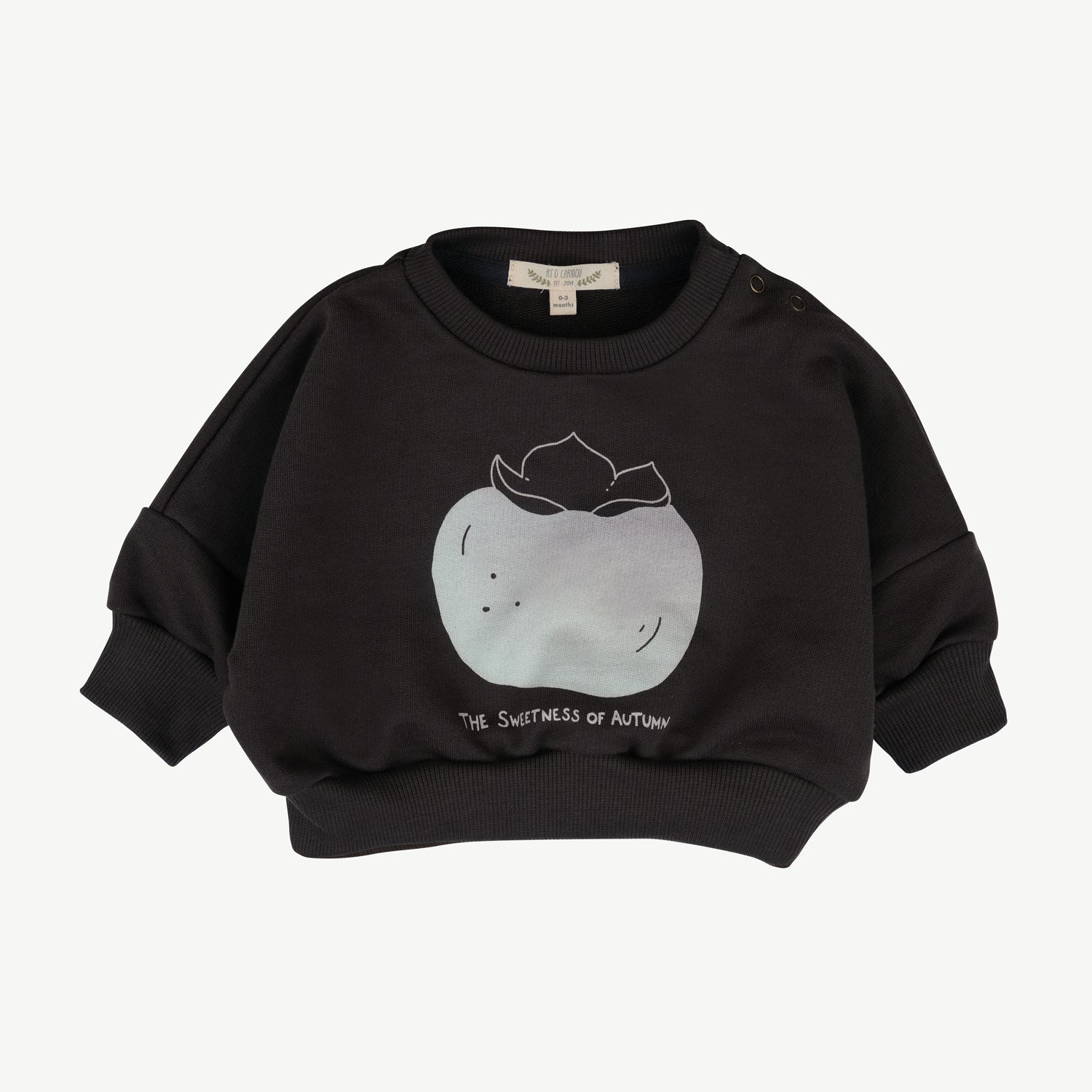 'the sweetness of autumn (plums)' beluga sweatshirt