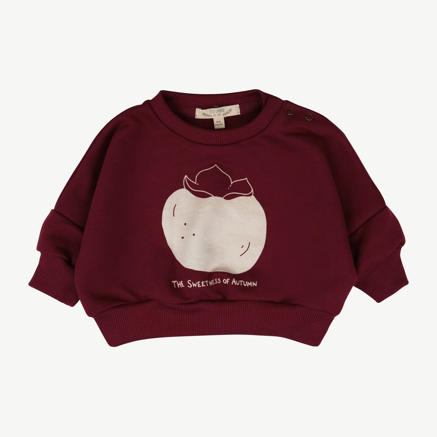 'the sweetness of autumn (plums)' tibetan red sweatshirt + joggers baby outfit