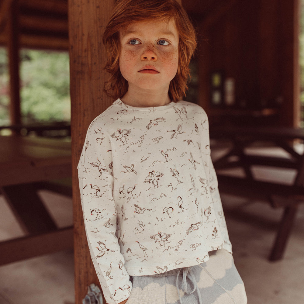 'tsuru ballet (cranes)' ivory oversized t-shirt