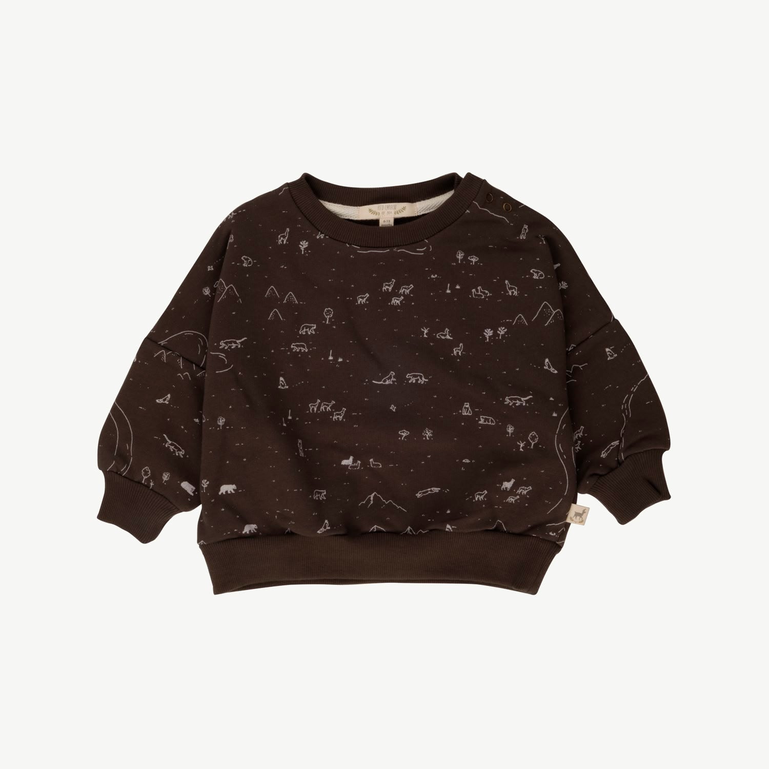 Sweatshirt - Andean Plains - Beluga