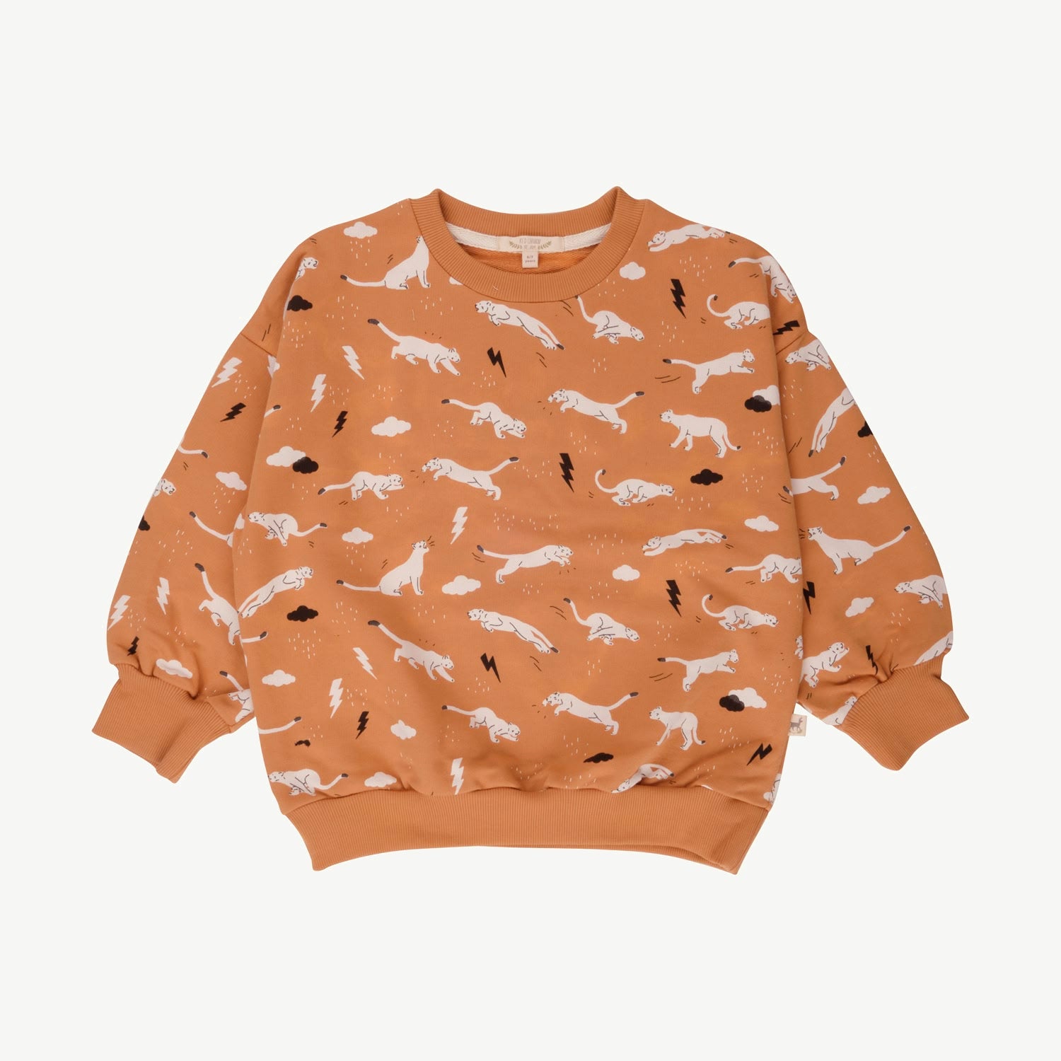 Sweatshirt - Thunder Puma - Doe