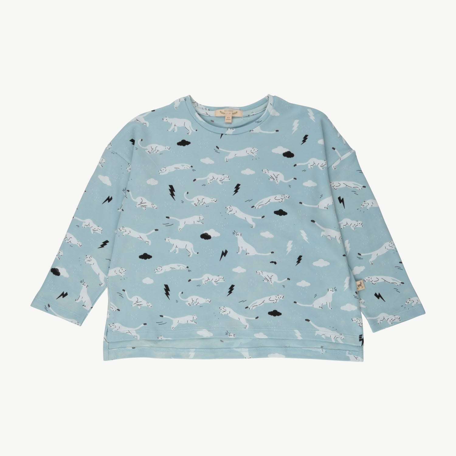 Oversized T-Shirt - Thunder Puma - Winter Sky