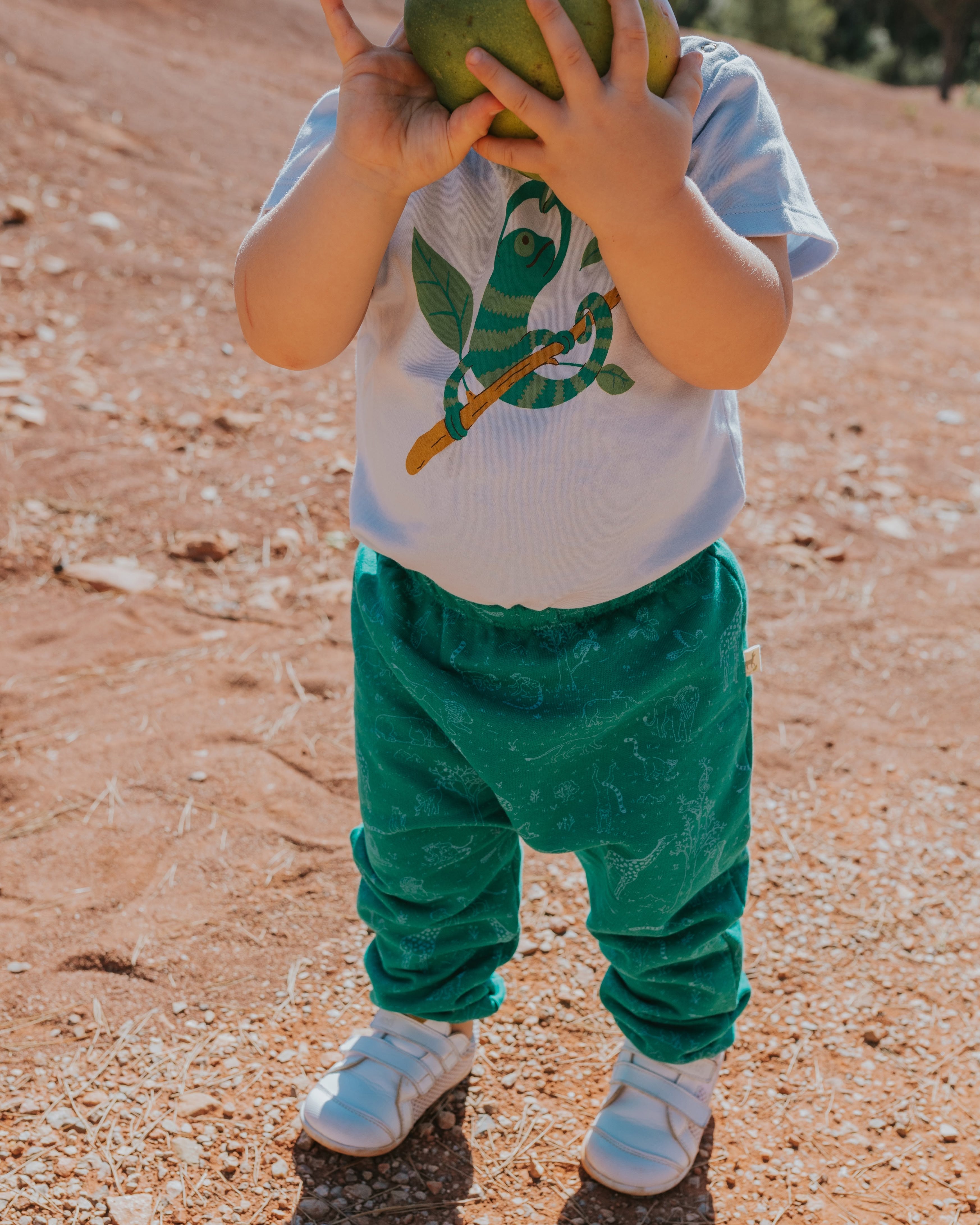Joggers - The Story - Emerald