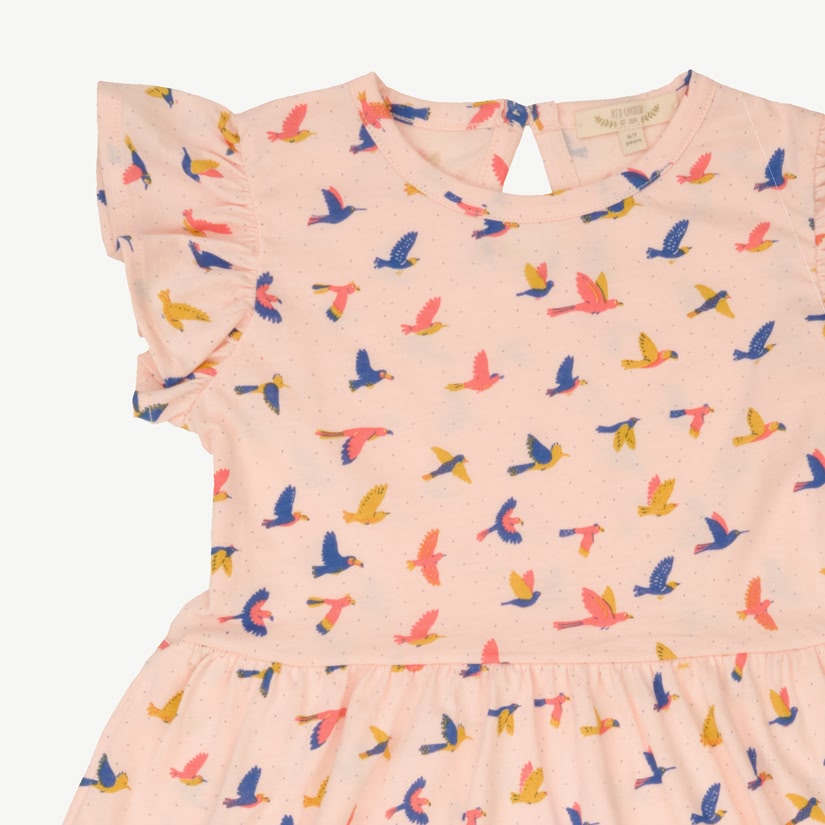 Frill Sleeve Dress - Boundless Birds - Soft Peach