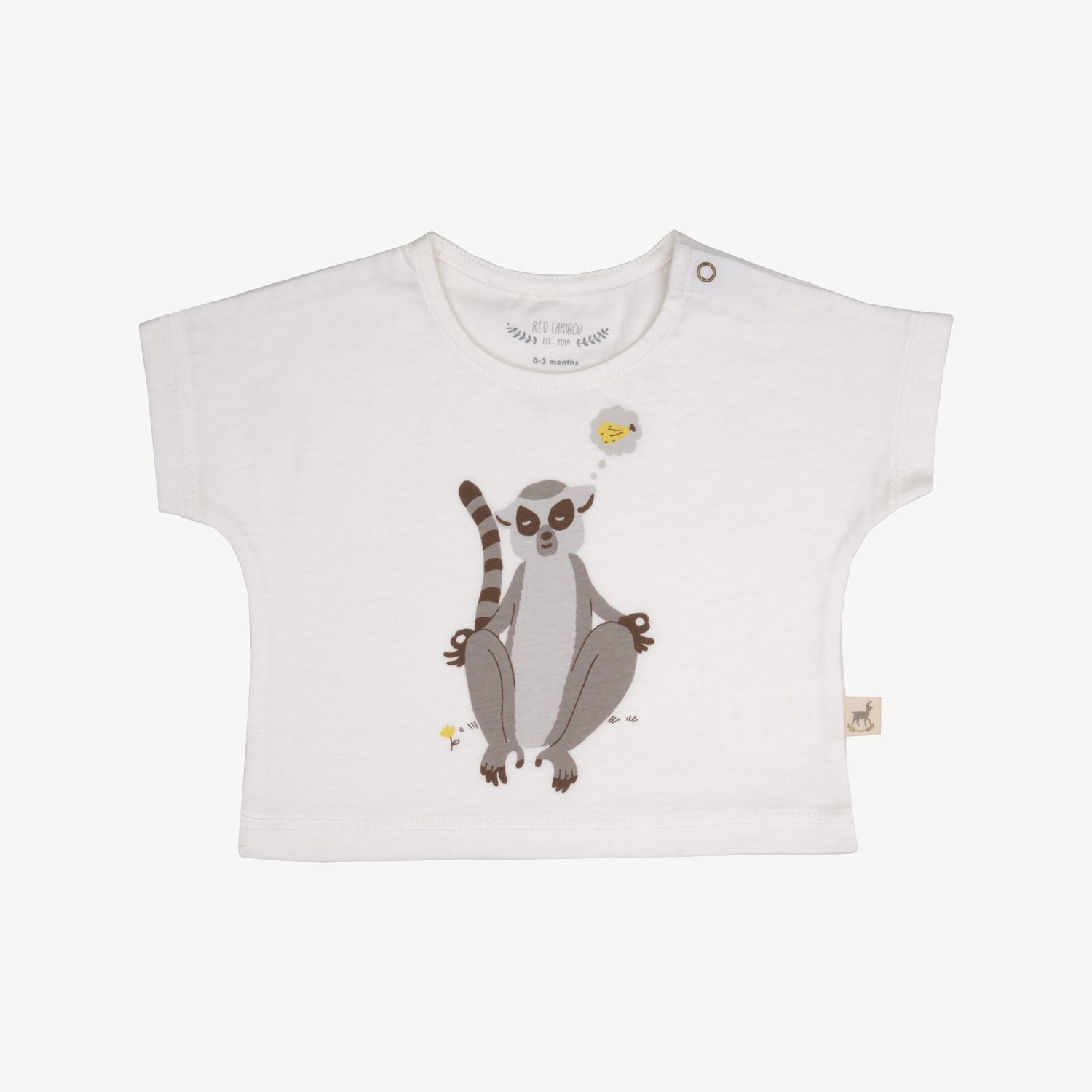 Short Sleeve T-Shirt - Lemur - Ivory