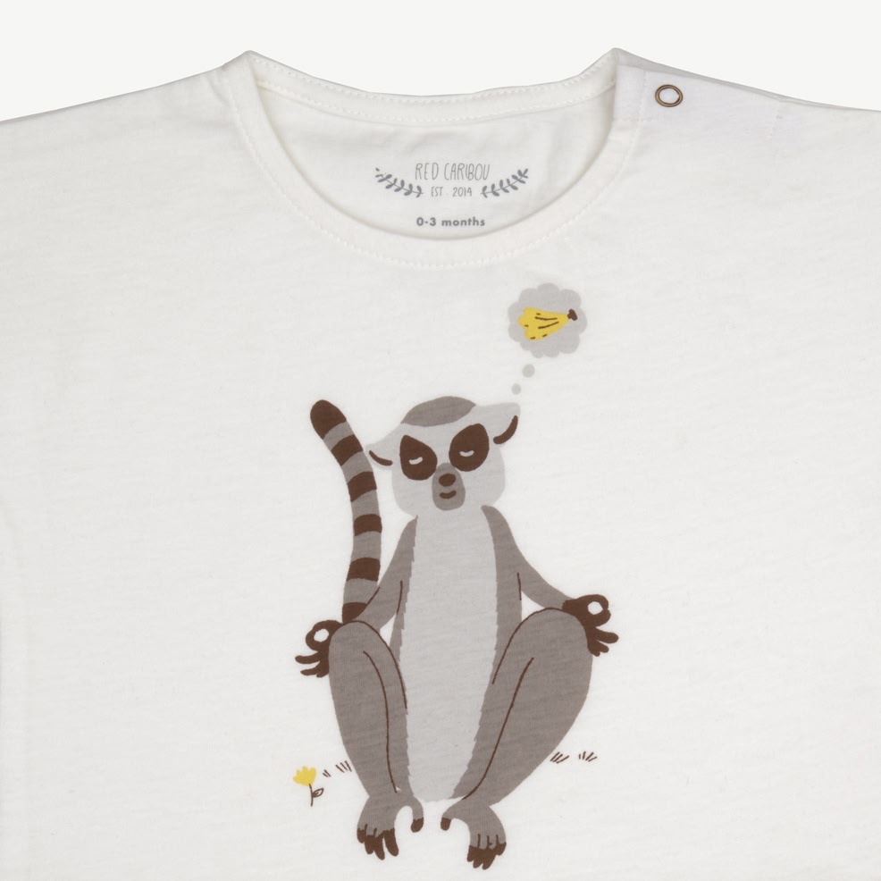Short Sleeve T-Shirt - Lemur - Ivory