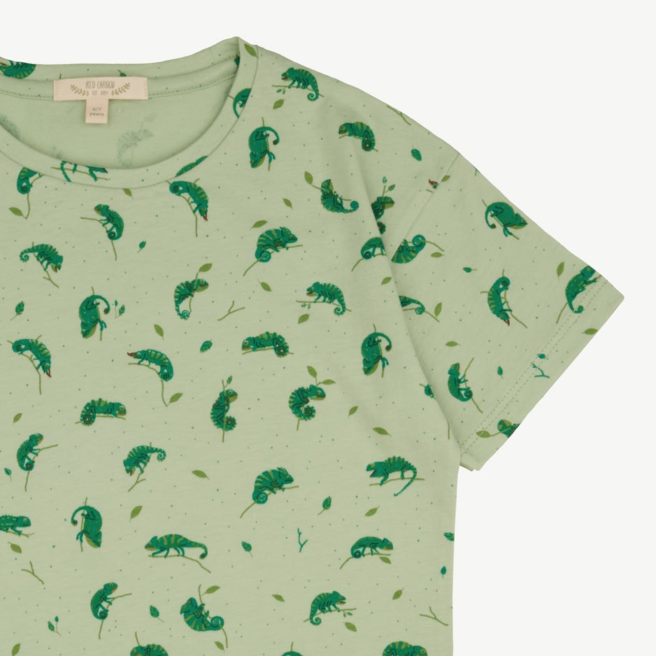 Short Sleeve T-Shirt - Charming Chameleons - Soft Green