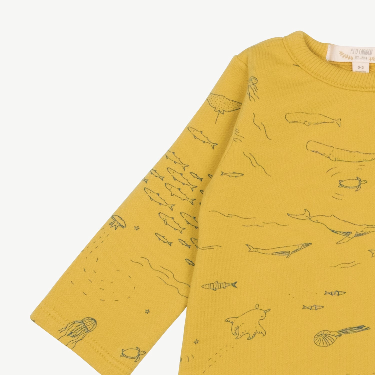 'the story' mustard french terry dress