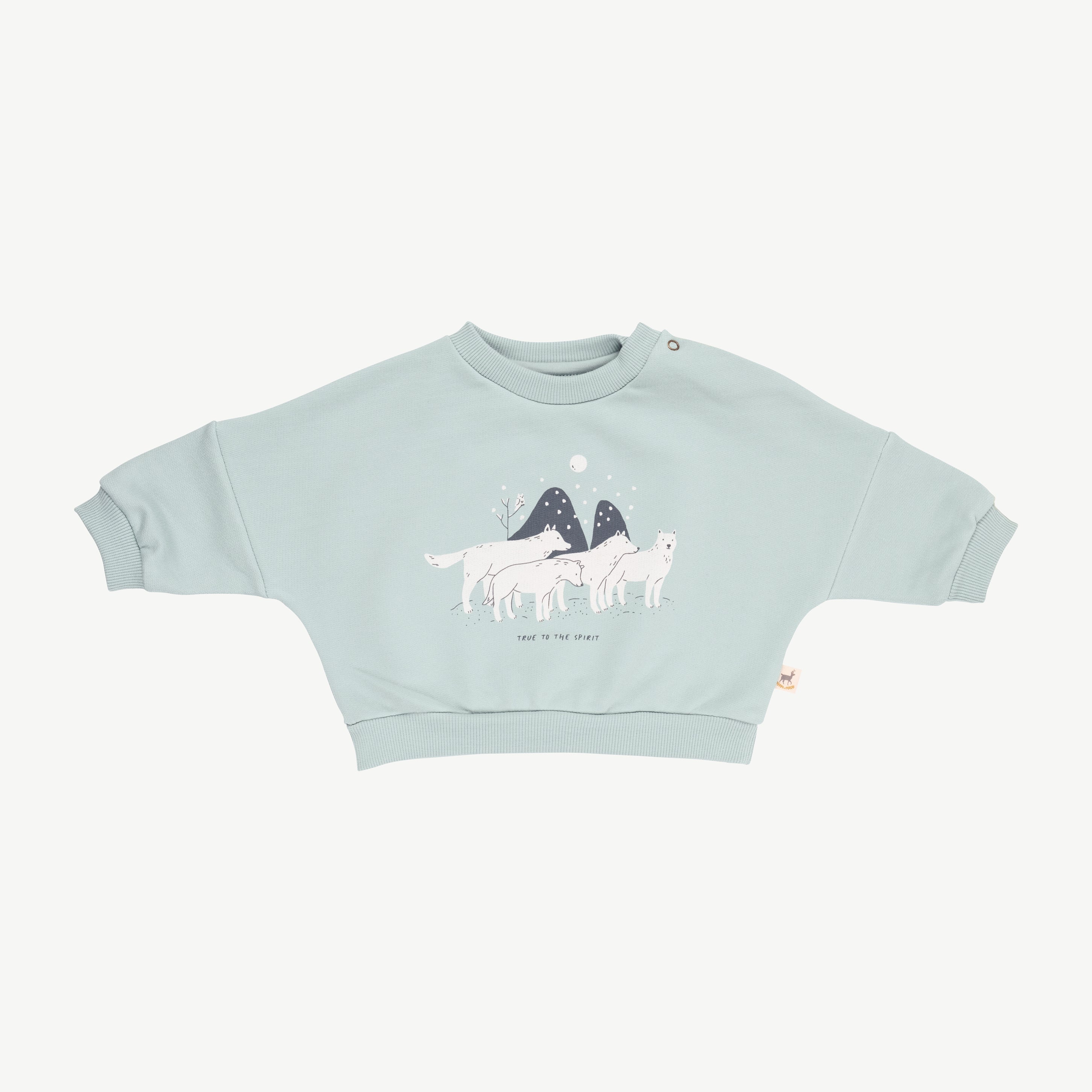 'true to the spirit' gray mist sweatshirt