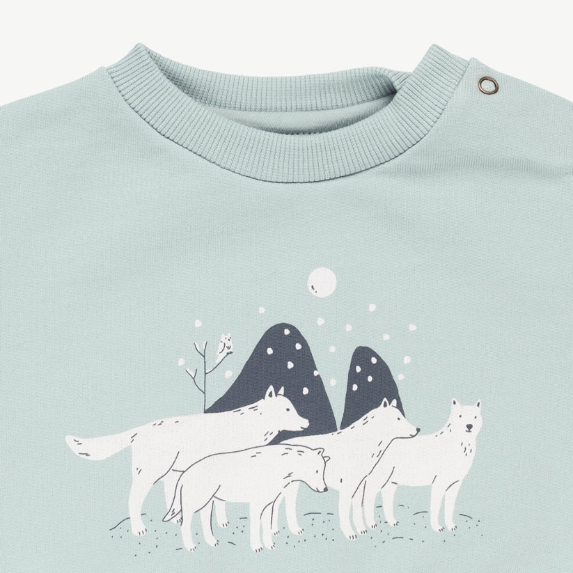 'true to the spirit' gray mist sweatshirt